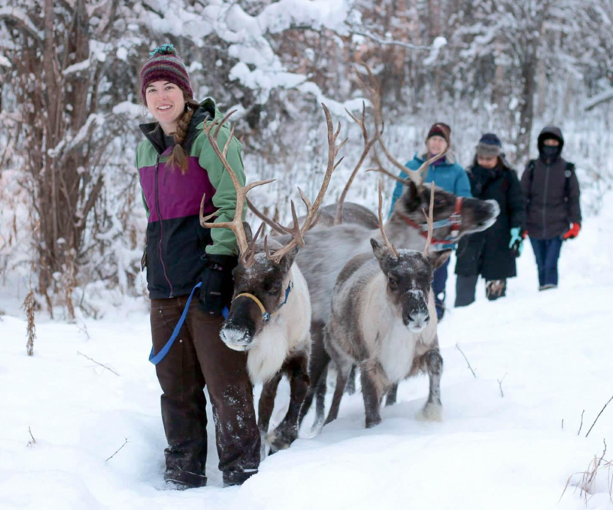 Reindeer experience at Running Reindeer Ranch in Fairbanks Alaska